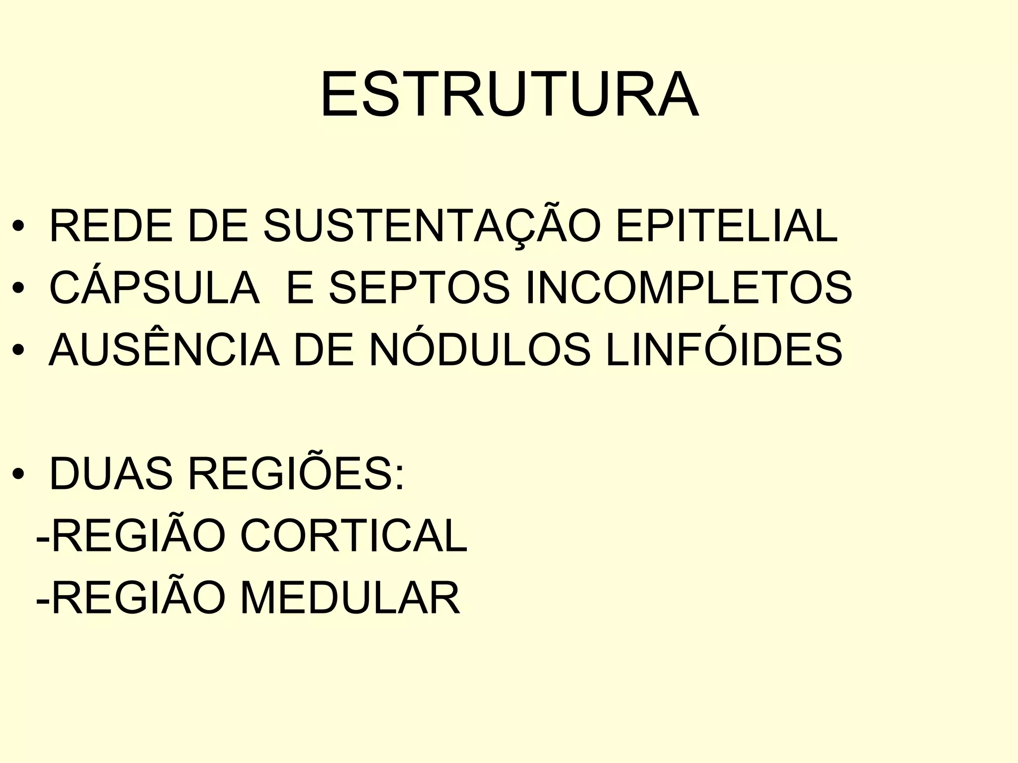 ESTRUTURA REDE DE SUSTENTAÇÃO EPITELIAL CÁPSULA  E SEPTOS INCOMPLETOS AUSÊNCIA DE NÓDULOS LINFÓIDES  DUAS REGIÕES: -REGIÃO CORTICAL -REGIÃO MEDULAR 