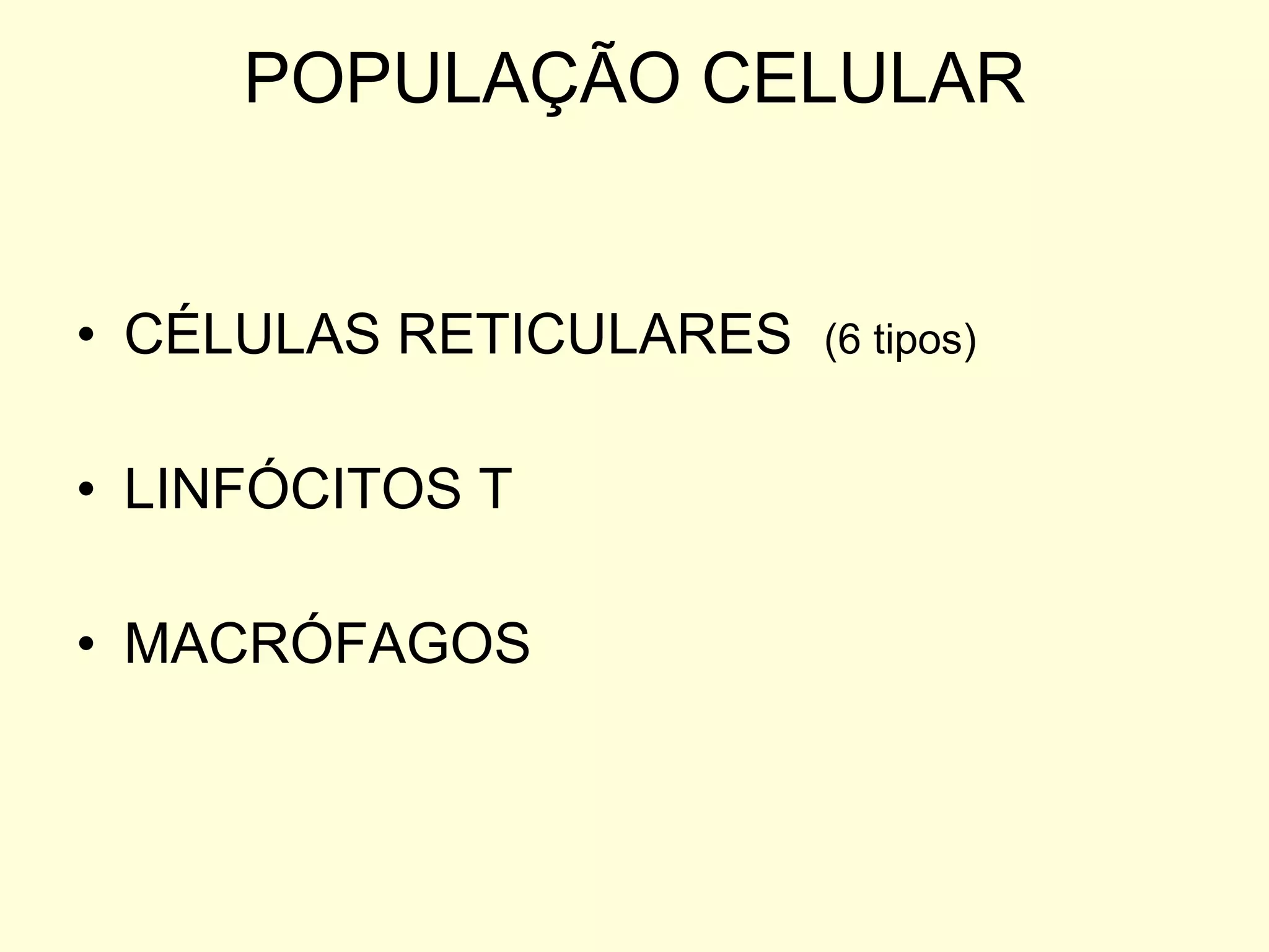 POPULAÇÃO CELULAR CÉLULAS RETICULARES  (6 tipos) LINFÓCITOS T MACRÓFAGOS 