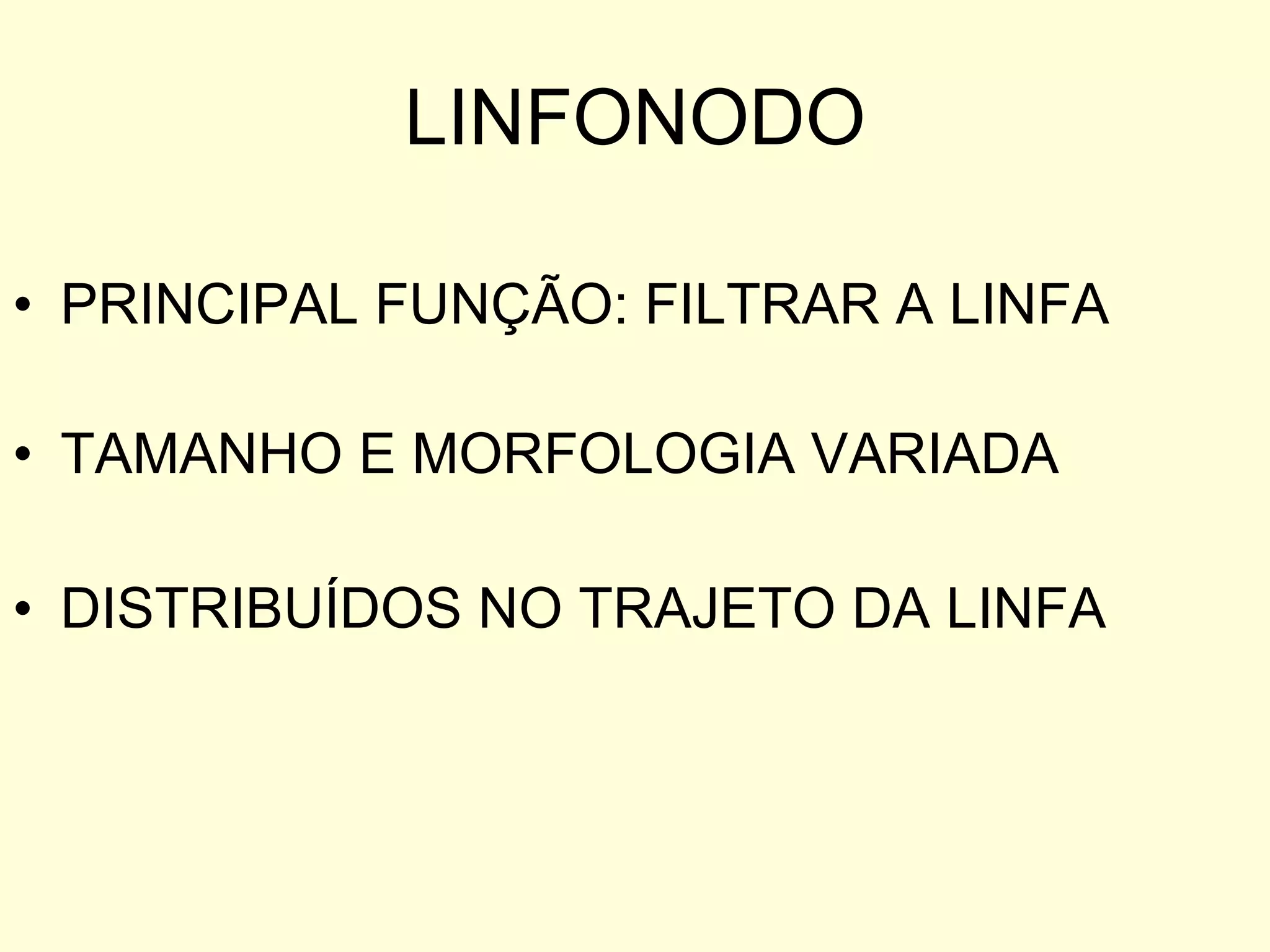 LINFONODO PRINCIPAL FUNÇÃO: FILTRAR A LINFA TAMANHO E MORFOLOGIA VARIADA  DISTRIBUÍDOS NO TRAJETO DA LINFA 