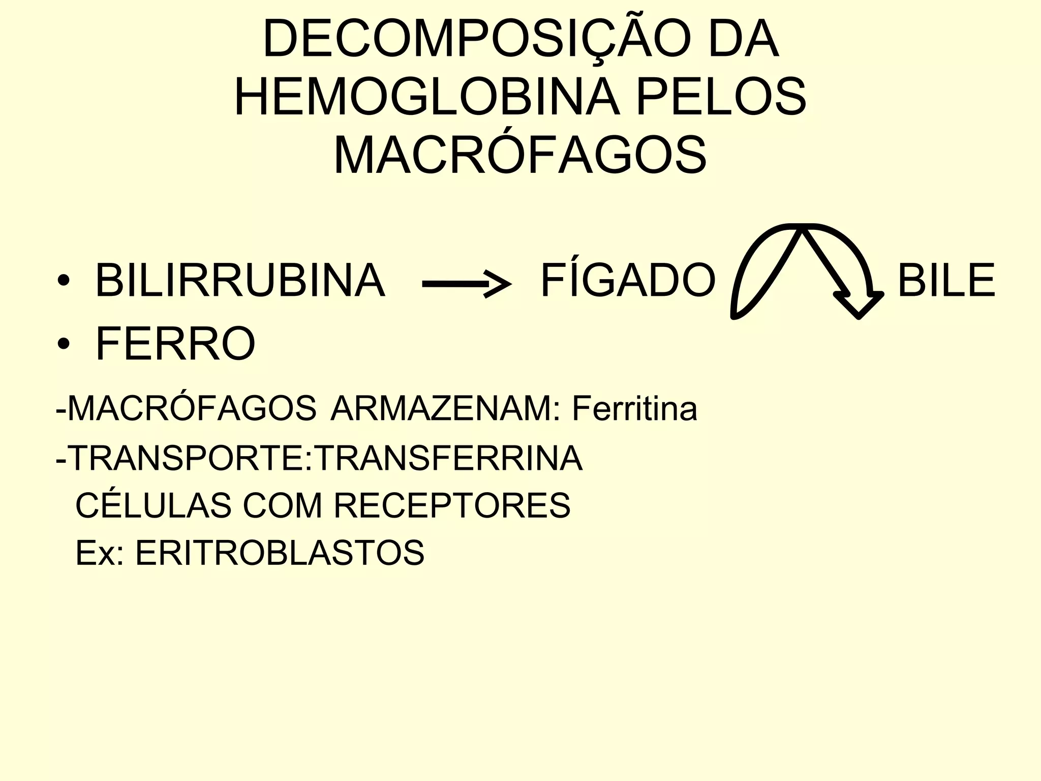 DECOMPOSIÇÃO DA HEMOGLOBINA PELOS MACRÓFAGOS BILIRRUBINA  FÍGADO  BILE FERRO -MACRÓFAGOS   ARMAZENAM: Ferritina -TRANSPORTE:TRANSFERRINA CÉLULAS COM RECEPTORES Ex: ERITROBLASTOS 