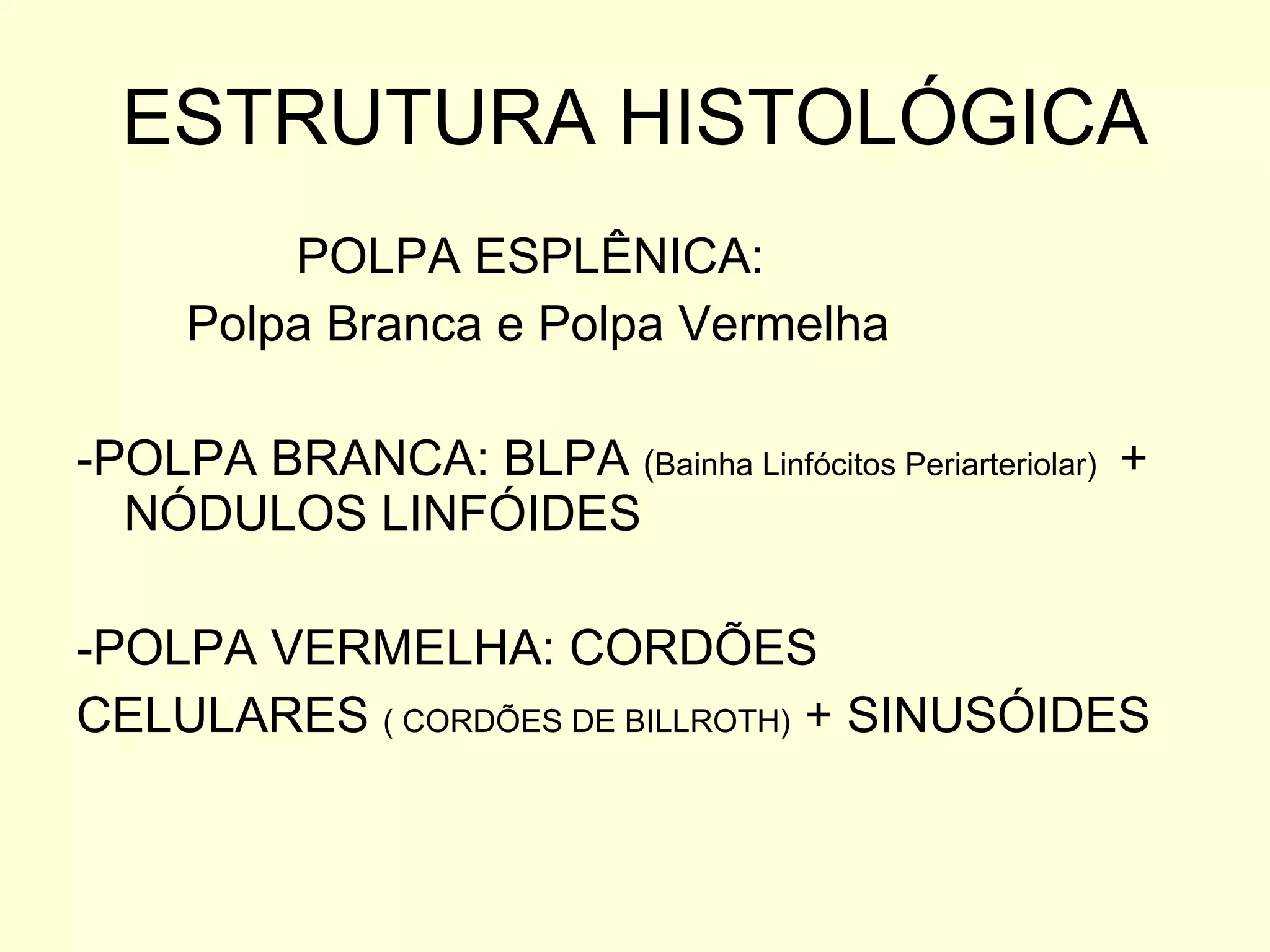 ESTRUTURA HISTOLÓGICA POLPA ESPLÊNICA: Polpa Branca e Polpa Vermelha -POLPA BRANCA: BLPA  ( Bainha Linfócitos Periarteriolar)  + NÓDULOS LINFÓIDES -POLPA VERMELHA: CORDÕES CELULARES  ( CORDÕES DE BILLROTH)  + SINUSÓIDES 