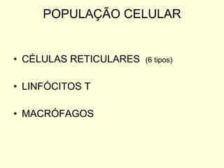 POPULAÇÃO CELULAR CÉLULAS RETICULARES  (6 tipos) LINFÓCITOS T MACRÓFAGOS 