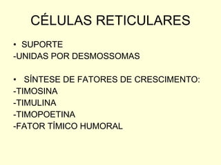 CÉLULAS RETICULARES SUPORTE -UNIDAS POR DESMOSSOMAS SÍNTESE DE FATORES DE CRESCIMENTO: -TIMOSINA -TIMULINA -TIMOPOETINA -FATOR TÍMICO HUMORAL 