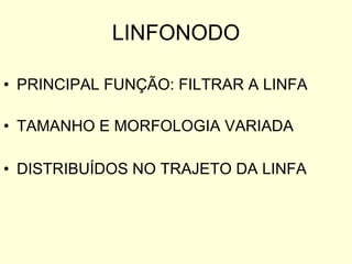 LINFONODO PRINCIPAL FUNÇÃO: FILTRAR A LINFA TAMANHO E MORFOLOGIA VARIADA  DISTRIBUÍDOS NO TRAJETO DA LINFA 