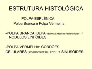 ESTRUTURA HISTOLÓGICA POLPA ESPLÊNICA: Polpa Branca e Polpa Vermelha -POLPA BRANCA: BLPA  ( Bainha Linfócitos Periarteriolar)  + NÓDULOS LINFÓIDES -POLPA VERMELHA: CORDÕES CELULARES  ( CORDÕES DE BILLROTH)  + SINUSÓIDES 