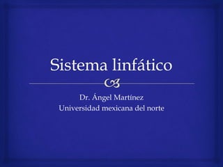 Dr. Ángel Martínez
Universidad mexicana del norte
 