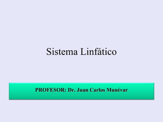 Sistema Linfático


PROFESOR: Dr. Juan Carlos Munévar
 