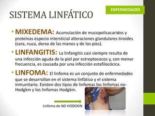 SISTEMA LINFÁTICO

ENFERMEDADES

• MIXEDEMA: Acumulación de mucopolisacaridos y
proteínas especio intersticial alteraciones glandulares tiroides
(cara, nuca, dorso de las manos y de los pies).

• LINFANGITIS: La linfangitis casi siempre resulta de
una infección aguda de la piel por estreptococos y, con menor
frecuencia, es causada por una infección estafilocócica.

• LINFOMA: El linfoma es un conjunto de enfermedades
que se desarrollan en el sistema linfático y el sistema
inmunitario. Existen dos tipos de linfomas los linfomas noHodgkin y los linfomas Hodgkin.

Linfoma de NO HODGKIN

 