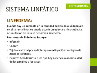 SISTEMA LINFÁTICO

ENFERMEDADES

LINFEDEMA:
Cuando hay un aumento en la cantidad de líquido o un bloqueo
en el sistema linfático puede ocurrir un edema o hinchazón. La
acumulación de linfa se denomina linfedema.
Las causas de linfedema incluyen:
• Infección
• Cáncer
• Tejido cicatricial por radioterapia o extirpación quirúrgica de
ganglios linfáticos
• Cuadros hereditarios en los que hay ausencia o anormalidad
de los ganglios o los vasos.

 