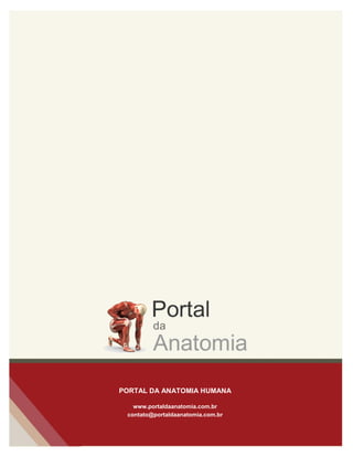 peso e servir como alavanca
para impulsionar o corpo. A
construção do pé com vários
ossos e articulações, permite a
adaptação do pé aos tipos de
superfícies, além de aumentar
sua ação propulsora.
2. ESQUELETO DO PÉ
O esqueleto do pé é formado
pelos ossos tarsais, metatarsais
e falanges. Quase todos os
ossos se unem por articulações
sinoviais, conferindo
mobilidade necessária para se
adaptar a forças longitudinais
aplicadas sobre o pé e, se
moldar aos diferentes tipos de
superfícies durante a marcha.
Os ossos do tarso (do grego –
tarso = superfície plana) a
palavra era usada para uma
série de estruturas planas.
Hipócrates usava a expressão
“tarsós podós” = planta do pé.
Galeno utilizou o termo para o
esqueleto, envolvendo apenas
os ossos cuneiformes e cubóide
como parte do tarso. São ossos
pares e curtos, totalizando sete
ossos em cada pé.
 O tálus (do latim – talus
= tornozelo, dado de
jogar), articula-se,
proximalmente, com a
face inferior da tíbia e,
as porções articulares
PORTAL DA ANATOMIA HUMANA
www.portaldaanatomia.com.br
contato@portaldaanatomia.com.br
 