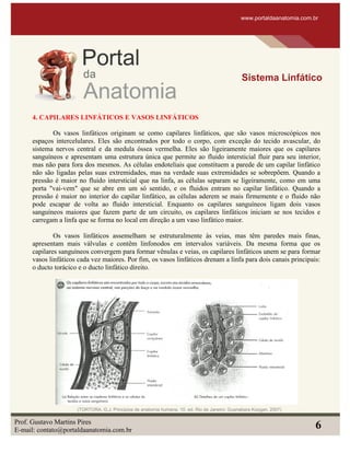 4. CAPILARES LINFÁTICOS E VASOS LINFÁTICOS
Os vasos linfáticos originam se como capilares linfáticos, que são vasos microscópicos nos
espaços intercelulares. Eles são encontrados por todo o corpo, com exceção do tecido avascular, do
sistema nervos central e da medula óssea vermelha. Eles são ligeiramente maiores que os capilares
sanguíneos e apresentam uma estrutura única que permite ao fluido intersticial fluir para seu interior,
mas não para fora dos mesmos. As células endoteliais que constituem a parede de um capilar linfático
não são ligadas pelas suas extremidades, mas na verdade suas extremidades se sobrepõem. Quando a
pressão é maior no fluido intersticial que na linfa, as células separam se ligeiramente, como em uma
porta "vai-vem" que se abre em um só sentido, e os fluidos entram no capilar linfático. Quando a
pressão é maior no interior do capilar linfático, as células aderem se mais firmemente e o fluido não
pode escapar de volta ao fluido intersticial. Enquanto os capilares sanguíneos ligam dois vasos
sanguíneos maiores que fazem parte de um circuito, os capilares linfáticos iniciam se nos tecidos e
carregam a linfa que se forma no local em direção a um vaso linfático maior.
Os vasos linfáticos assemelham se estruturalmente às veias, mas têm paredes mais finas,
apresentam mais válvulas e contêm linfonodos em intervalos variáveis. Da mesma forma que os
capilares sanguíneos convergem para formar vênulas e veias, os capilares linfáticos unem se para formar
vasos linfáticos cada vez maiores. Por fim, os vasos linfáticos drenam a linfa para dois canais principais:
o ducto torácico e o ducto linfático direito.
www.portaldaanatomia.com.br
Sistema Linfático
Prof. Gustavo Martins Pires
E-mail: contato@portaldaanatomia.com.br
6
(TORTORA, G.J. Principios de anatomia humana. 10. ed. Rio de Janeiro: Guanabara Koogan, 2007)
 