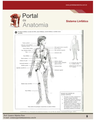 www.portaldaanatomia.com.br
Sistema Linfático
Prof. Gustavo Martins Pires
E-mail: contato@portaldaanatomia.com.br
8
(TORTORA, G.J. Principios de anatomia humana. 10. ed. Rio de Janeiro: Guanabara Koogan, 2007)
 
