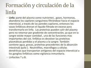 Formación y circulación de la
linfa
• Linfa: parte del plasma como nutrientes , gases, hormonas,
abandona los capilares sanguíneos filtrándose hacia el espacio
intersticial, a través de las paredes capilares, entonces los
vasos linfáticos drenan el liquido filtrado en exceso para
transformarlo en linfa. Las proteínas pueden salir del plasma
pero no retornar por gradiente de concentración, ya que en la
sangre existe mayor cantidad , una de las funciones mas
importantes del sist. linfático es devolver las proteínas
plasmáticas perdidas y el plasma a la sangre. También
contiene agua, grasas, proteínas procedentes de la absorción
intestinal( quilo ). Neutrófilos, macrófagos y células
dendríticas que transportan antígenos del espacio intersticial a
los ganglios linfáticos como vigilancia inmunitaria.
• Linfocitos T y B.
 
