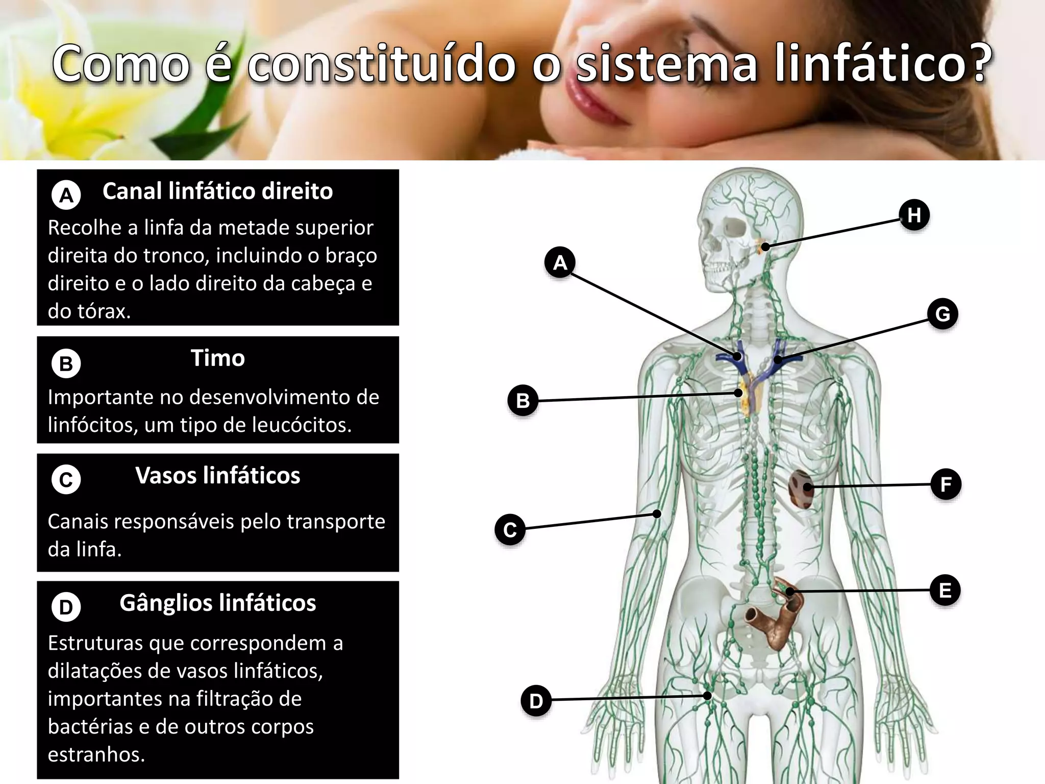 Sistema linfático.pptx