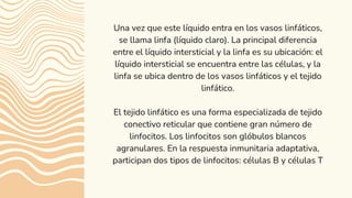 Una vez que este líquido entra en los vasos linfáticos,
se llama linfa (líquido claro). La principal diferencia
entre el líquido intersticial y la linfa es su ubicación: el
líquido intersticial se encuentra entre las células, y la
linfa se ubica dentro de los vasos linfáticos y el tejido
linfático.
El tejido linfático es una forma especializada de tejido
conectivo reticular que contiene gran número de
linfocitos. Los linfocitos son glóbulos blancos
agranulares. En la respuesta inmunitaria adaptativa,
participan dos tipos de linfocitos: células B y células T
 