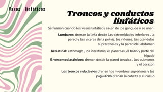Troncos y conductos
linfáticos
Vasos linfáticos
Se forman cuando los vasos linfáticos salen de los ganglios y se unen
Lumbares: drenan la linfa desde las extremidades inferiores , la
pared y las viceras de la pelvis, los riñones, las glandulas
suprarenales y la pared del abdomen
Intestinal: estomago , los intestinos, el pancreas, el bazo y parte del
higado
Broncomediastinicos: drenan desde la pared toracica , los pulmones
y el corazon
Los troncos subclavios drenan los miembros superiores y los
yugulares drenan la cabeza y el cuello
 