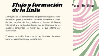 Flujo y formación
de la linfa
Vasos linfáticos
La mayoria de los componentes del plasma sanguíneo, como
nutrientes, gases y hormonas, se filtran libremente a través
de las paredes de los capilares y forman el líquido
intersticial, y la cantidad de líquido que se filtra fuera de los
capilares sanguíneos es mayor que la que retorna por
reabsorción.
El exceso de líquido filtrado -unos tres litros por día- drena
hacia los vasos linfáticos y forma la linfa.
 