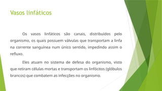 Vasos linfáticos
Os vasos linfáticos são canais, distribuídos pelo
organismo, os quais possuem válvulas que transportam a linfa
na corrente sanguínea num único sentido, impedindo assim o
refluxo.
Eles atuam no sistema de defesa do organismo, visto
que retiram células mortas e transportam os linfócitos (glóbulos
brancos) que combatem as infecções no organismo.
 