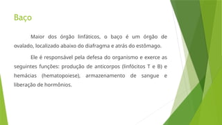 Baço
Maior dos órgão linfáticos, o baço é um órgão de
ovalado, localizado abaixo do diafragma e atrás do estômago.
Ele é responsável pela defesa do organismo e exerce as
seguintes funções: produção de anticorpos (linfócitos T e B) e
hemácias (hematopoiese), armazenamento de sangue e
liberação de hormônios.
 