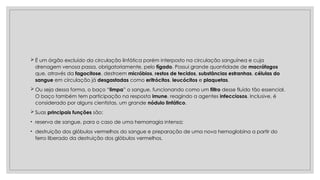  É um órgão excluído da circulação linfática porém interposto na circulação sanguínea e cuja
drenagem venosa passa, obrigatoriamente, pelo fígado. Possui grande quantidade de macrófagos
que, através da fagocitose, destroem micróbios, restos de tecidos, substâncias estranhas, células do
sangue em circulação já desgastadas como eritrócitos, leucócitos e plaquetas.
 Ou seja dessa forma, o baço “limpa” o sangue, funcionando como um filtro desse fluído tão essencial.
O baço também tem participação na resposta imune, reagindo a agentes infecciosos. Inclusive, é
considerado por alguns cientistas, um grande nódulo linfático.
 Suas principais funções são:
• reserva de sangue, para o caso de uma hemorragia intensa;
• destruição dos glóbulos vermelhos do sangue e preparação de uma nova hemoglobina a partir do
ferro liberado da destruição dos glóbulos vermelhos.
 