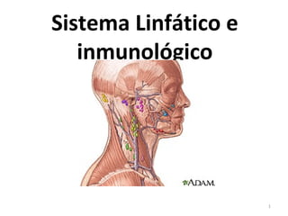 Sistema Linfático e
   inmunológico




                      1
 