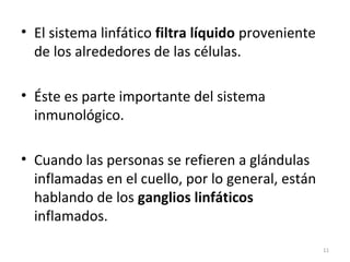 • El sistema linfático filtra líquido proveniente
  de los alrededores de las células.

• Éste es parte importante del sistema
  inmunológico.

• Cuando las personas se refieren a glándulas
  inflamadas en el cuello, por lo general, están
  hablando de los ganglios linfáticos
  inflamados.

                                                    11
 