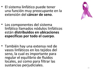 • El sistema linfático puede tener
  una función muy preocupante en la
  extensión del cáncer de seno.

• Los componentes del sistema
  linfático llamados nódulos linfáticos
  están distribuidos en ubicaciones
  específicas por todo el cuerpo.

• También hay una extensa red de
  vasos linfáticos en los tejidos del
  seno, la cual es importante para
  regular el equilibrio de fluidos
  locales, así como para filtrar las
  sustancias perjudiciales.
                                          13
 