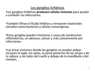 Los ganglios linfáticos
•Los ganglios linfáticos producen células inmunes para ayudar
a combatir las infecciones.

•También filtran el fluido linfático y remueven materiales
extraños como bacterias y células cancerígenas.

•Estos ganglios pueden hincharse a causa de condiciones
inflamatorias, un absceso, cáncer y más comúnmente por
infecciones.

•Las áreas comunes donde los ganglios se pueden palpar
incluyen la ingle, las axilas, la parte posterior de las orejas y de
la cabeza, a los lados del cuello y debajo de la mandíbula y del
mentón.

                                                                  16
 