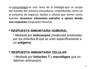 La inmunología es una rama de la biología que se ocupa
del estudio del sistema inmunitario, entendiendo como tal
al conjunto de órganos, tejidos y células que tienen como
función reconocer elementos extraños o ajenos dando
una respuesta (respuesta inmune)

 RESPUESTA INMUNITARIA HUMORAL
   • Mediada por anticuerpos (moléculas producidas
   por los linfocitos B que se unen específicamente a
   un antígeno)


 RESPUESTA INMUNITARIA CELULAR
   • Mediada por linfocitos T y macrófagos que no
   fabrican anticuerpos
                                                            27
 