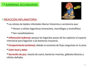  BARRERAS SECUNDARIAS



 REACCIÓN INFLAMATORIA
    Las células de tejidos infectados liberan histamina o serotonina que:
        Atraen a células fagocíticas (monocitos, macrófagos y neutrófilos)
        Son vasodilatadores
    Inflamación (edema): porque los fagocitos pasan de los capilares al espacio
   intersticial para fagocitar a las bacterias invasoras.
    Enrojecimiento (eritema): debido al aumento de flujo sanguíneo en la zona.
    Calor local y dolor
    Secreción de pus: mezcla de suero, bacterias muertas, glóbulos blancos y
   células dañadas

                                                                                35
 