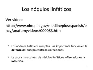 Los nódulos linfáticos
Ver video:
http://www.nlm.nih.gov/medlineplus/spanish/e
ncy/anatomyvideos/000083.htm


 • Los nódulos linfáticos cumplen una importante función en la
   defensa del cuerpo contra las infecciones.

 • La causa más común de nódulos linfáticos inflamados es la
   infección.
                                                               5
 