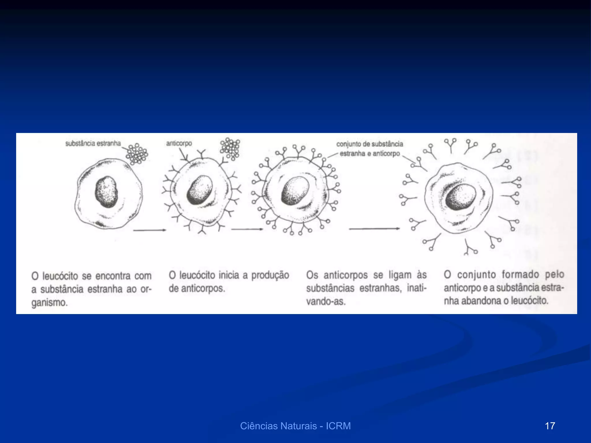 Ciências Naturais - ICRM 17
 
