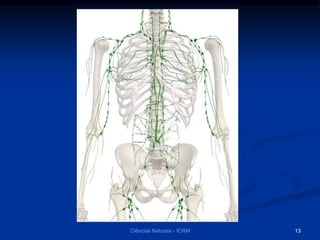 13Ciências Naturais - ICRM
 