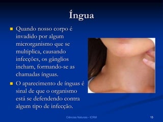 Íngua
 Quando nosso corpo é
invadido por algum
microrganismo que se
multiplica, causando
infecções, os gânglios
incham, formando-se as
chamadas ínguas.
 O aparecimento de ínguas é
sinal de que o organismo
está se defendendo contra
algum tipo de infecção.
Ciências Naturais - ICRM 15
 