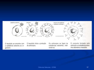 Ciências Naturais - ICRM 17
 