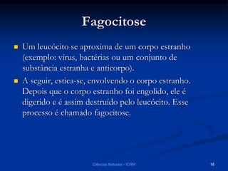 Fagocitose
 Um leucócito se aproxima de um corpo estranho
(exemplo: vírus, bactérias ou um conjunto de
substância estranha e anticorpo).
 A seguir, estica-se, envolvendo o corpo estranho.
Depois que o corpo estranho foi engolido, ele é
digerido e é assim destruído pelo leucócito. Esse
processo é chamado fagocitose.
Ciências Naturais - ICRM 18
 