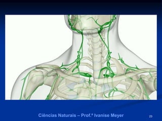 23Ciências Naturais – Prof.ª Ivanise Meyer
 