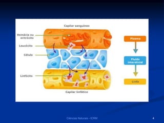 Ciências Naturais - ICRM 4
 