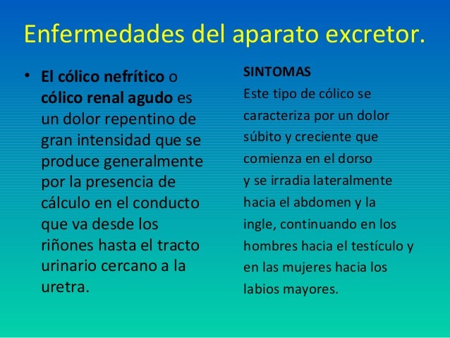Sistema linfático y aparato excretor 3C - Equipo Sin Nombres Sistema linfático y aparato excretor 3C - Equipo Sin Nombres
