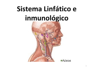 Sistema Linfático e
inmunológico

1

 