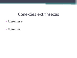 Conexões extrínsecas
• Aferentes e
• Eferentes.
 