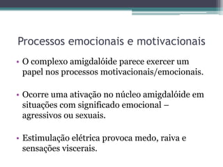 Processos emocionais e motivacionais
• O complexo amigdalóide parece exercer um
papel nos processos motivacionais/emocionais.
• Ocorre uma ativação no núcleo amigdalóide em
situações com significado emocional –
agressivos ou sexuais.
• Estimulação elétrica provoca medo, raiva e
sensações viscerais.
 