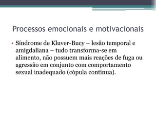 Processos emocionais e motivacionais
• Síndrome de Kluver-Bucy – lesão temporal e
amigdaliana – tudo transforma-se em
alimento, não possuem mais reações de fuga ou
agressão em conjunto com comportamento
sexual inadequado (cópula contínua).
 