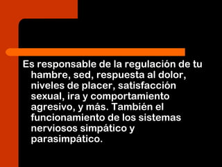 Es responsable de la regulación de tu
hambre, sed, respuesta al dolor,
niveles de placer, satisfacción
sexual, ira y comportamiento
agresivo, y más. También el
funcionamiento de los sistemas
nerviosos simpático y
parasimpático.
 