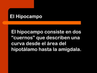 El hipocampo consiste en dos
“cuernos” que describen una
curva desde el área del
hipotálamo hasta la amígdala.
El Hipocampo
 