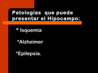 Patologías que puede
presentar el Hipocampo:
* Isquemia
*Alzheimer
*Epilepsia.
 