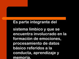 Es parte integrante del
sistema límbico y que se
encuentra involucrado en la
formación de emociones,
procesamiento de datos
básico referidos a la
conducta, aprendizaje y
memoria.
 