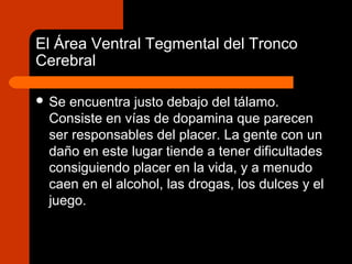 El Área Ventral Tegmental del Tronco
Cerebral
 Se encuentra justo debajo del tálamo.
Consiste en vías de dopamina que parecen
ser responsables del placer. La gente con un
daño en este lugar tiende a tener dificultades
consiguiendo placer en la vida, y a menudo
caen en el alcohol, las drogas, los dulces y el
juego.
 
