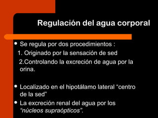 Regulación del agua corporal
 Se regula por dos procedimientos :
1. Originado por la sensación de sed
2.Controlando la excreción de agua por la
orina.
 Localizado en el hipotálamo lateral “centro
de la sed”
 La excreción renal del agua por los
“núcleos supraópticos”.
 