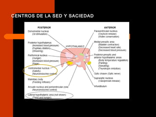 CENTROS DE LA SED Y SACIEDAD
 